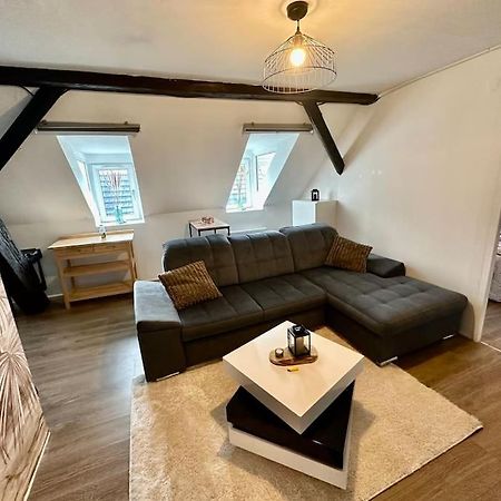 Logement Entier Au Coeur De 斯特拉斯堡 外观 照片
