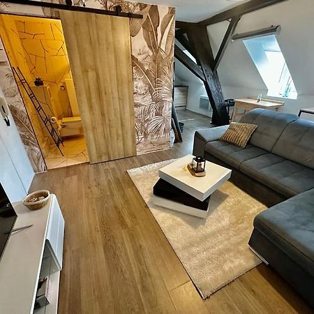 Logement Entier Au Coeur De 斯特拉斯堡 外观 照片