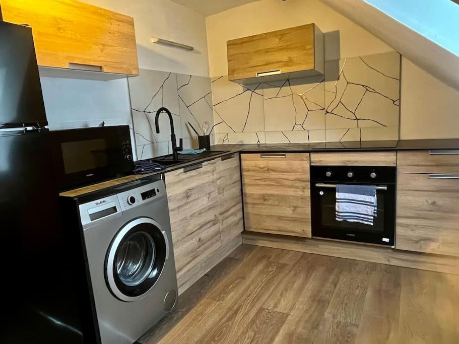 Logement Entier Au Coeur De 斯特拉斯堡 外观 照片